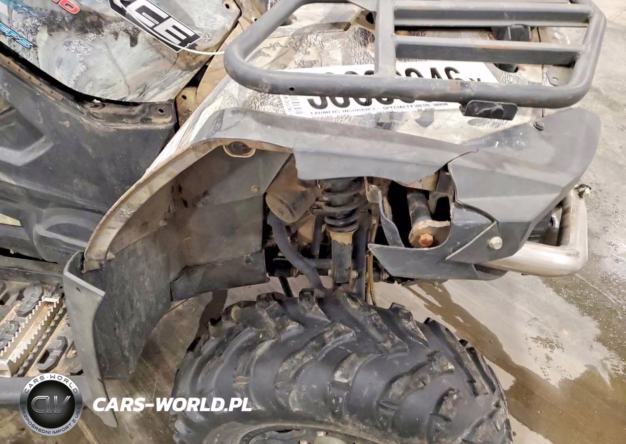 2015 Cfmoto Cforce Atv VIN:LCELDTS95F6002900 - 9
