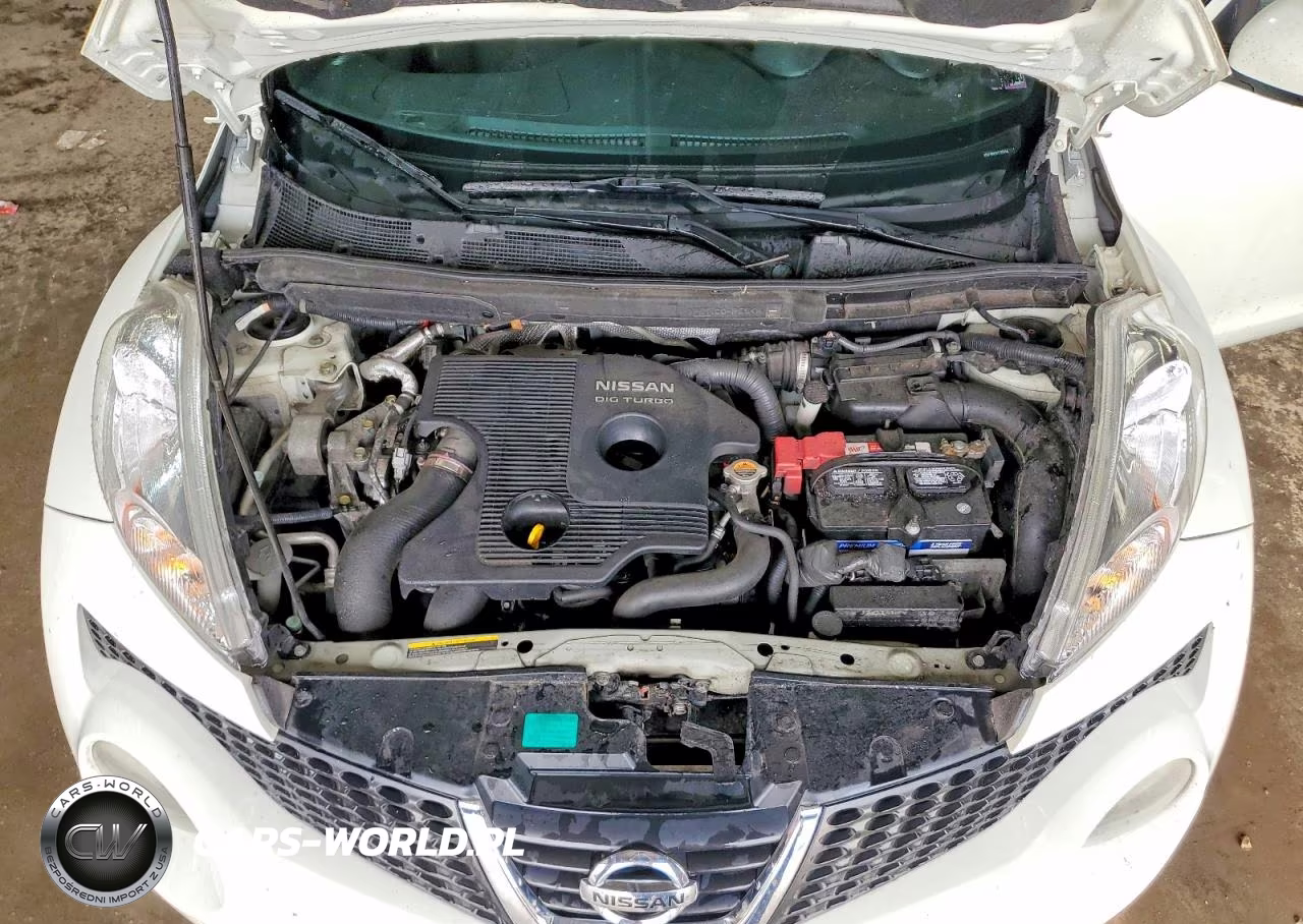 2012 Nissan Juke S-Sv-Sl VIN:JN8AF5MV2CT125546 - 11