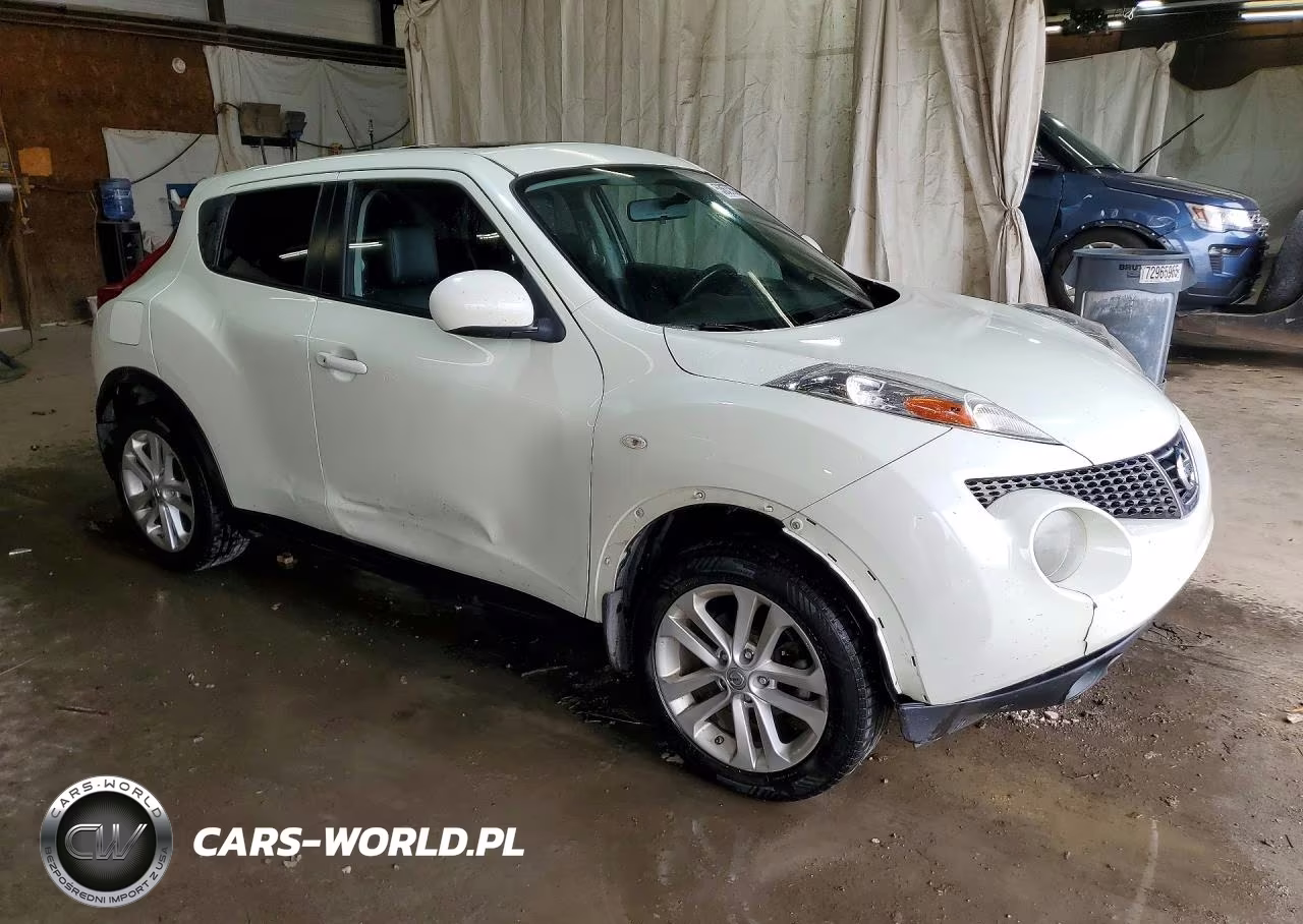 2012 Nissan Juke S-Sv-Sl VIN:JN8AF5MV2CT125546 - 4