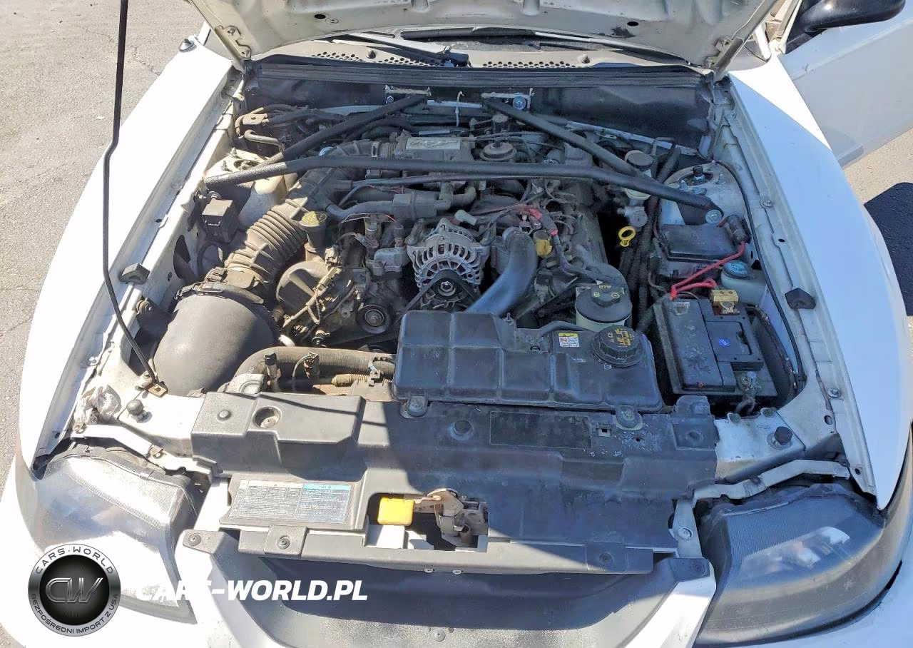 2004 Ford Mustang Gt VIN:1FAFP45X14F238273 - 11