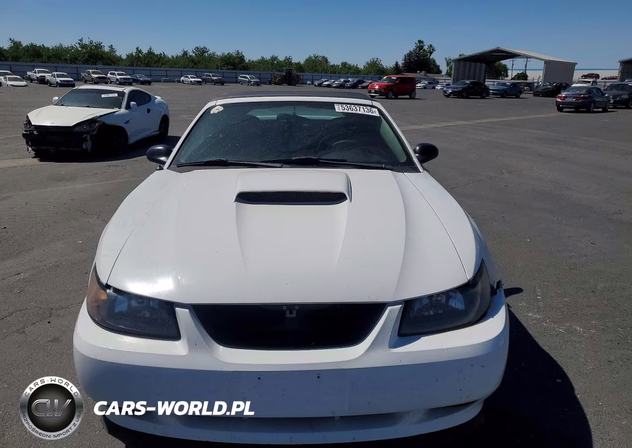 2004 Ford Mustang Gt VIN:1FAFP45X14F238273 - 5