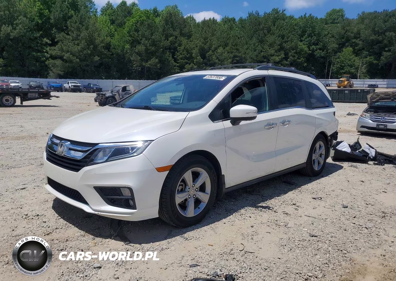 2019 Honda Odyssey Exl