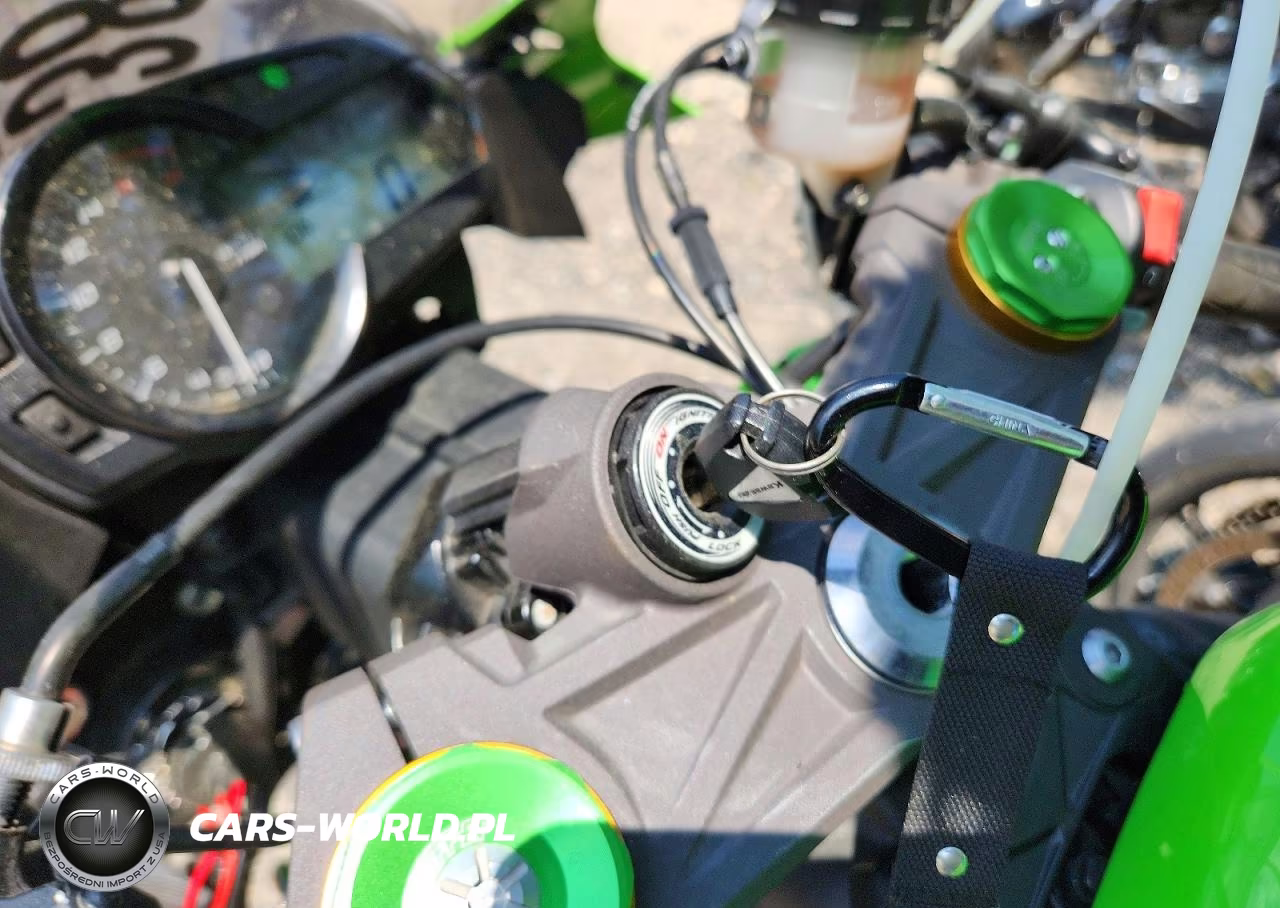 2015 Kawasaki Zx636 E VIN:JKBZXJE15FA016732 - 8