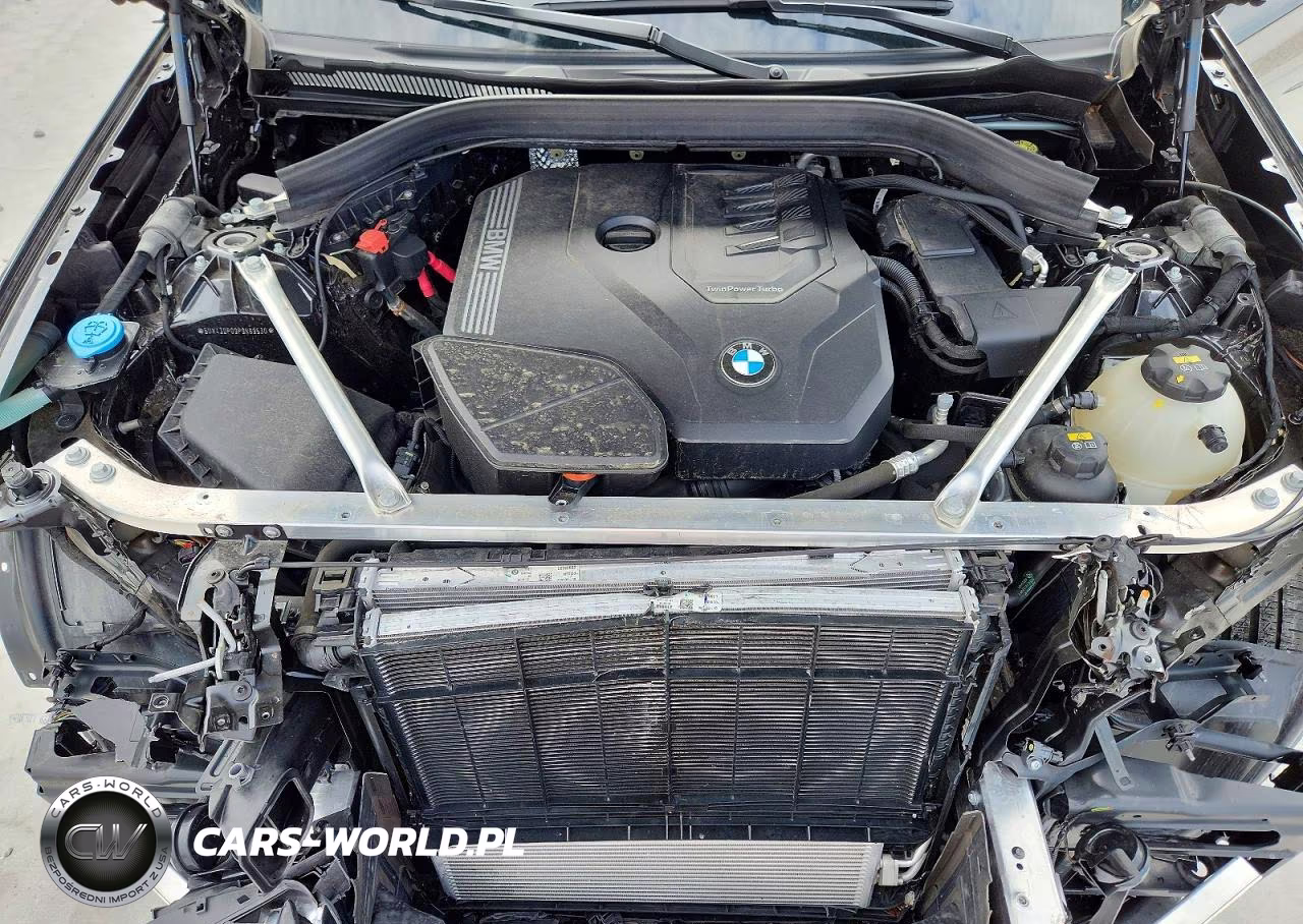 2023 BMW X3 Sdrive30I VIN:5UX43DP09P9N89530 - 12