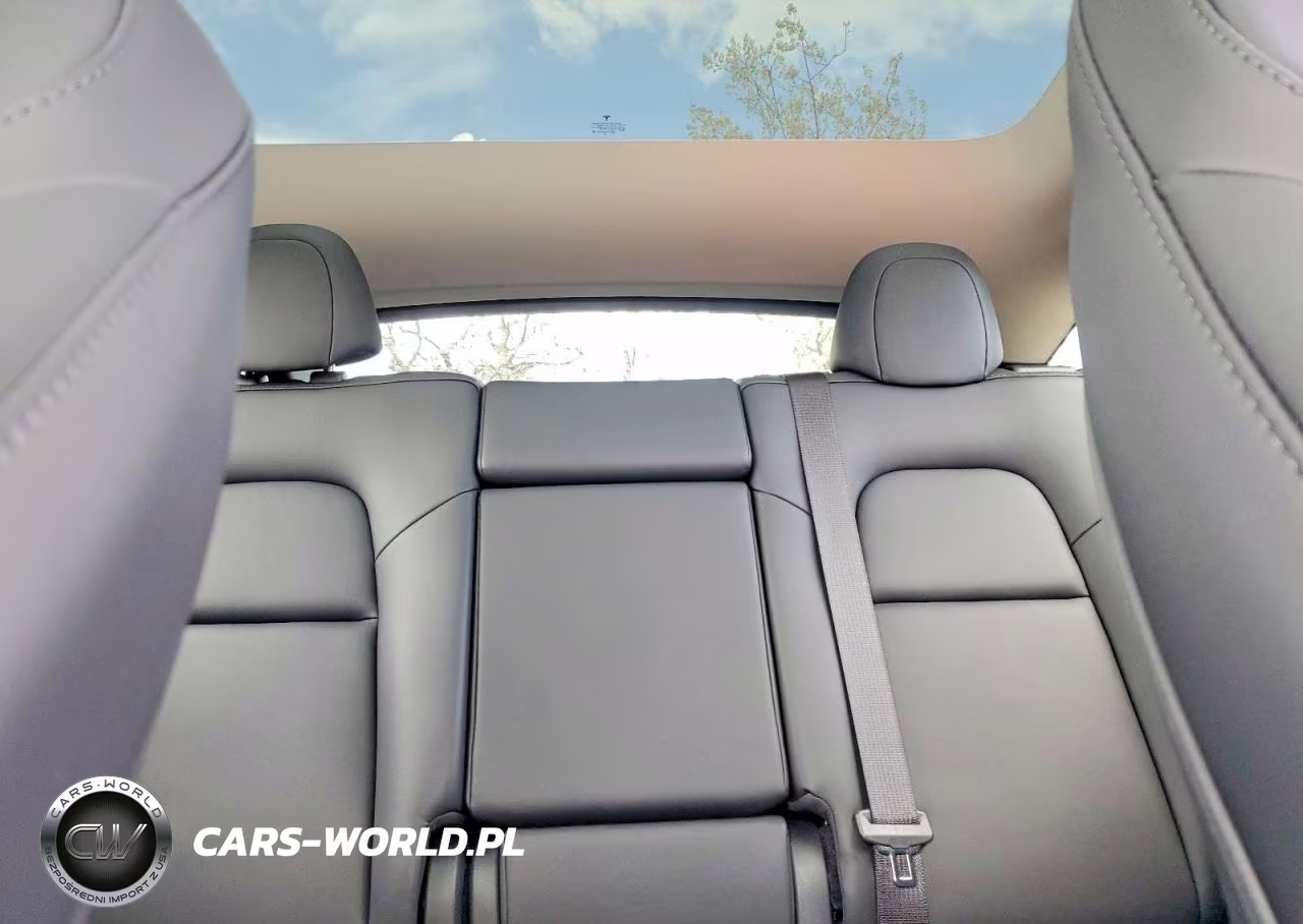 2024 Tesla Model Y VIN:7SAYGAEE4RF009102 - 10