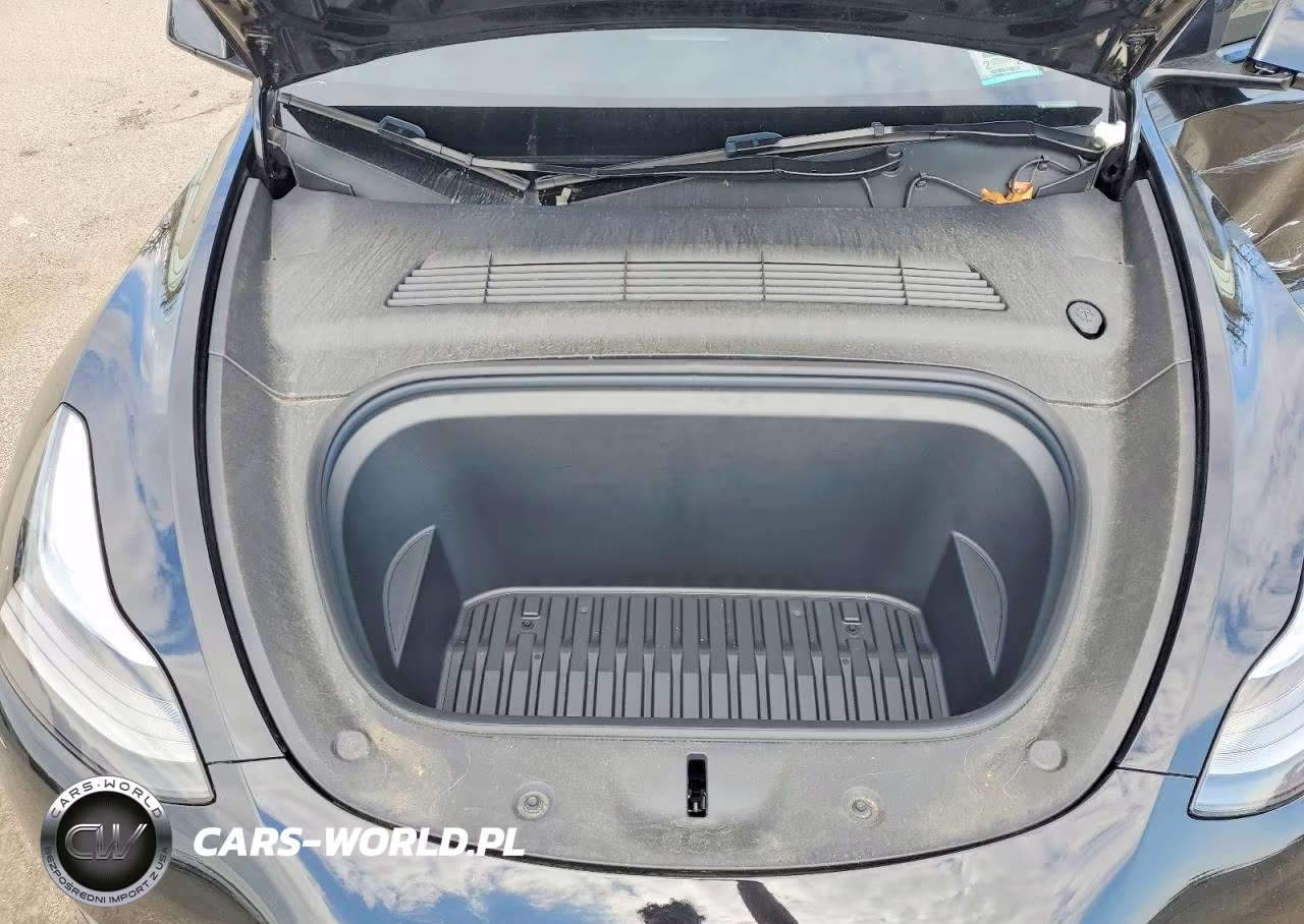 2024 Tesla Model Y VIN:7SAYGAEE4RF009102 - 12