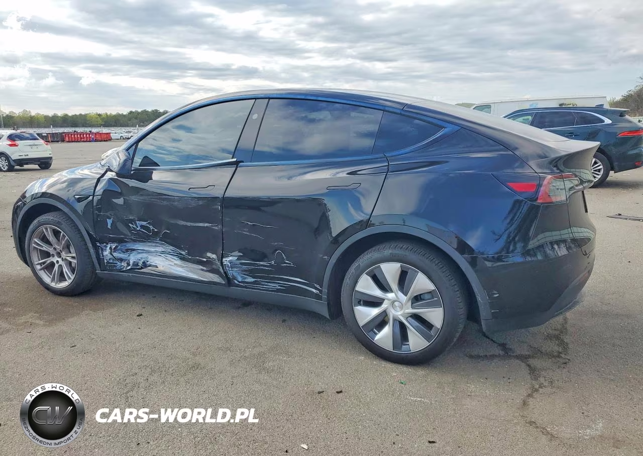 2024 Tesla Model Y VIN:7SAYGAEE4RF009102 - 2