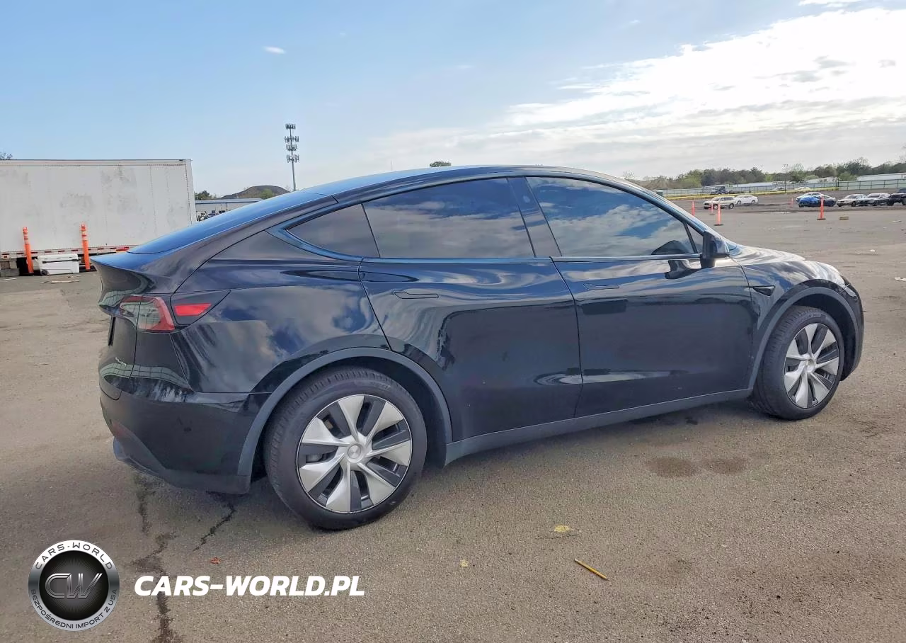 2024 Tesla Model Y VIN:7SAYGAEE4RF009102 - 3