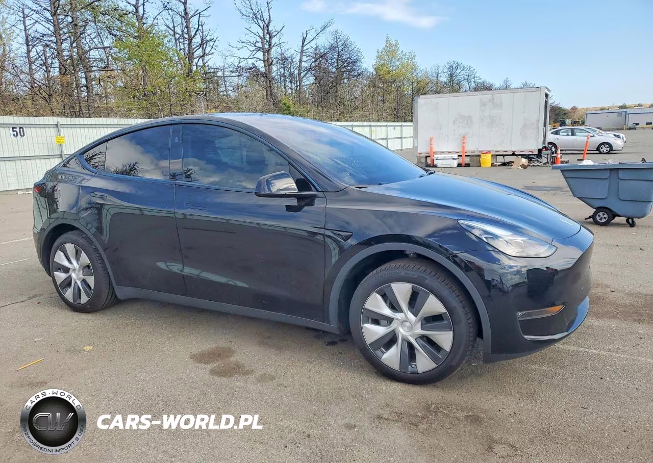 2024 Tesla Model Y VIN:7SAYGAEE4RF009102 - 4