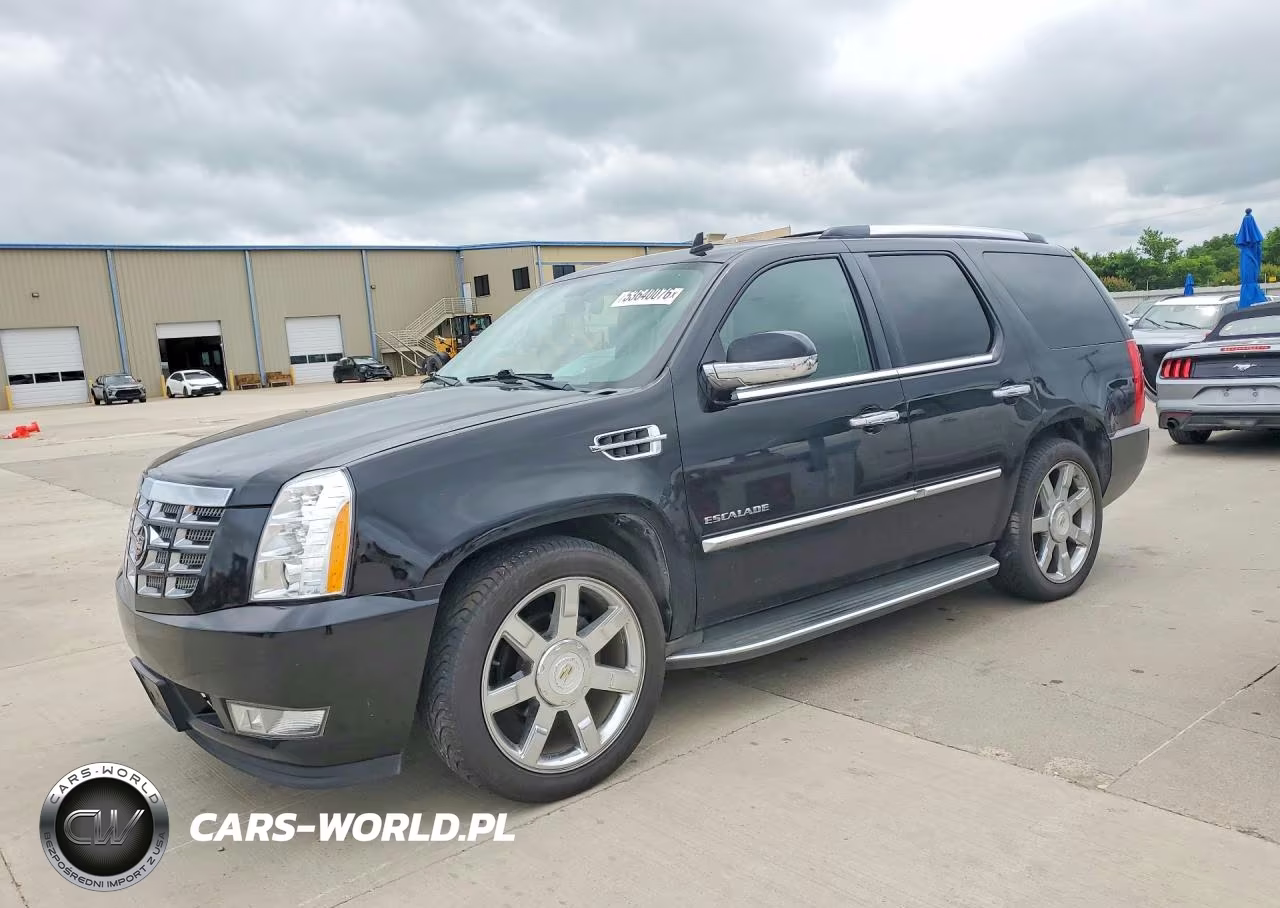 2010 Cadillac Escalade Luxury