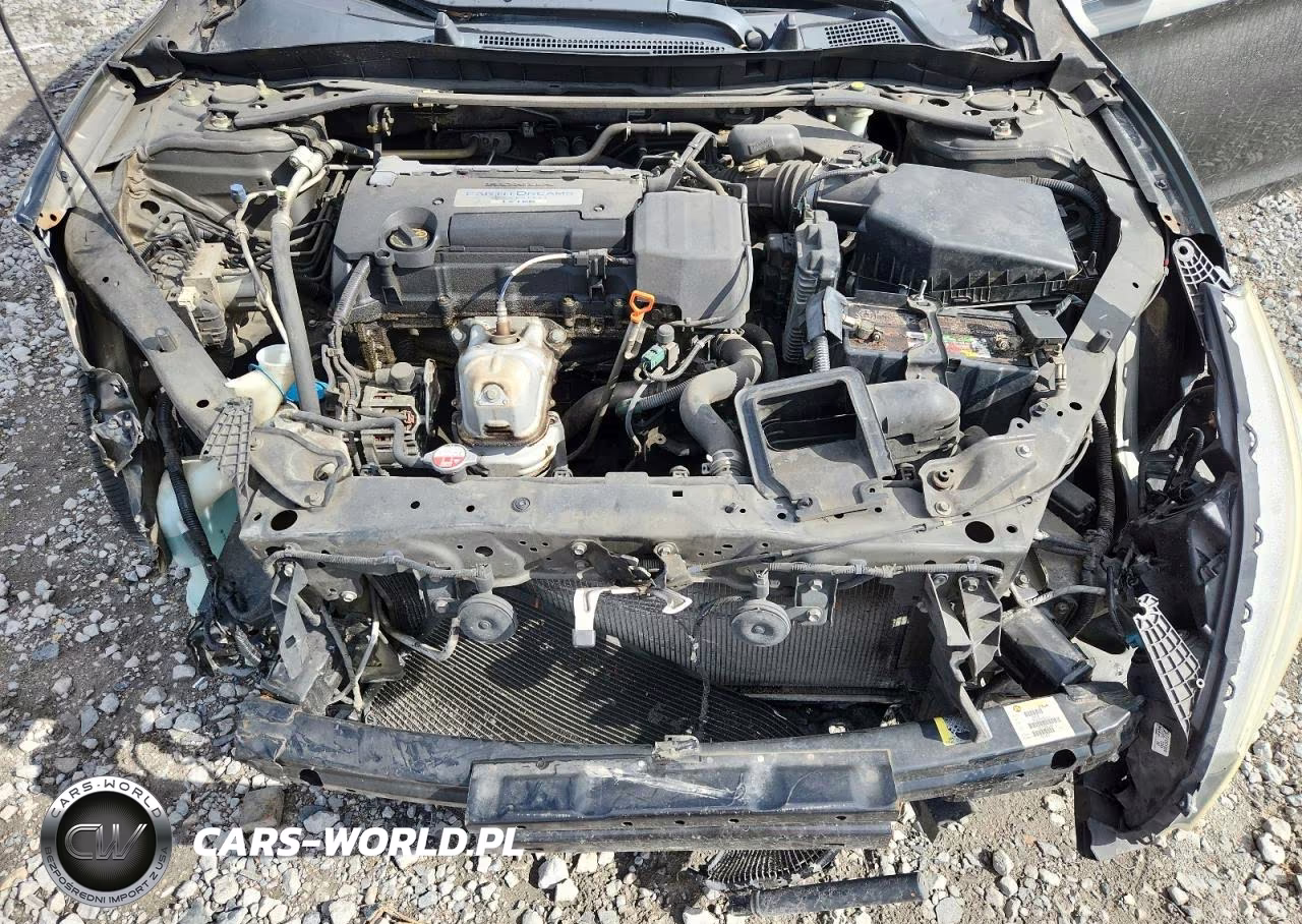 2014 Honda Accord Sport VIN:1HGCR2F57EA177343 - 12