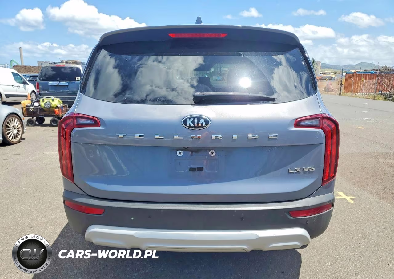 2021 Kia Telluride Lx VIN:5XYP24HC7MG144160 - 6