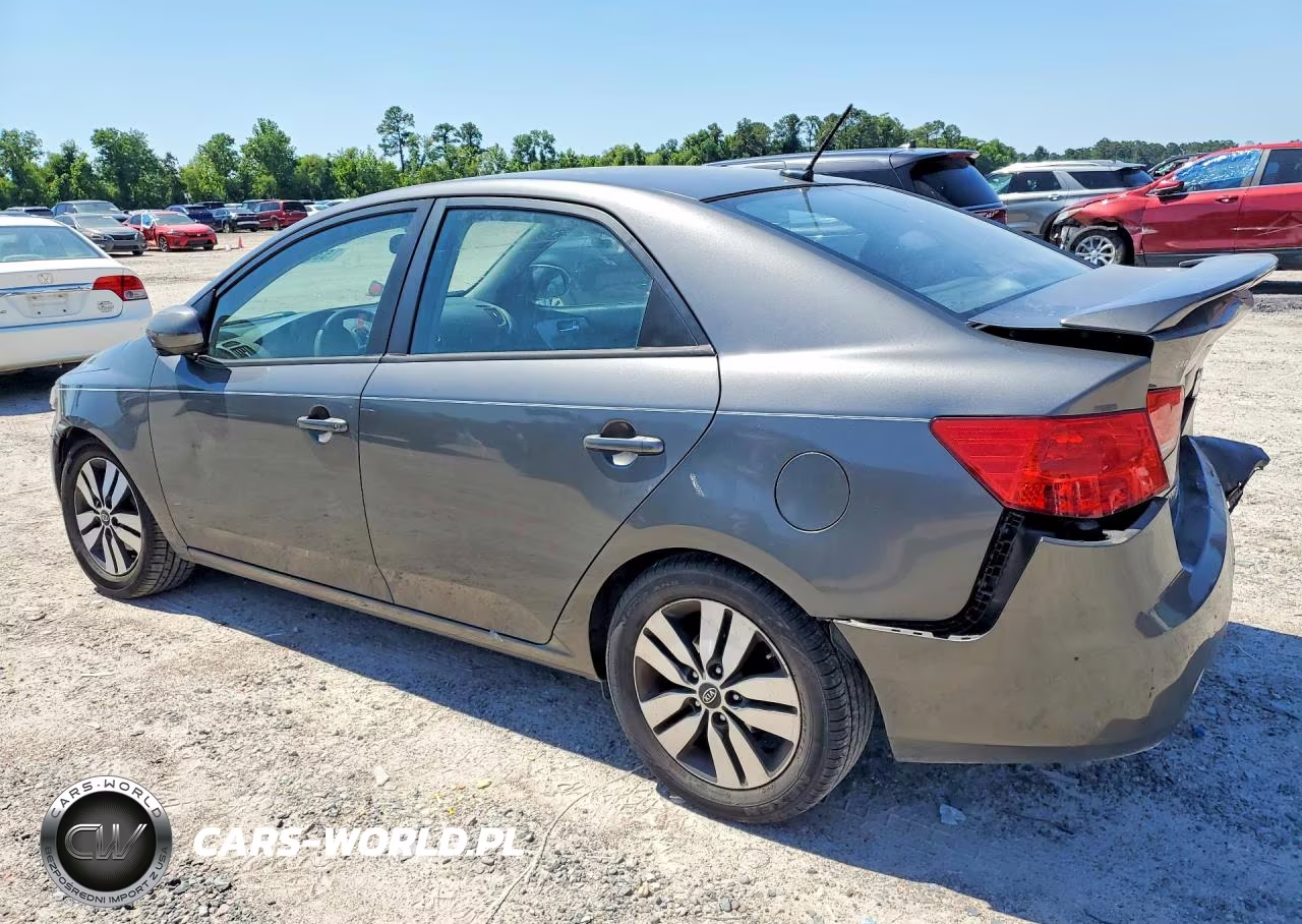 2013 Kia Forte VIN:KNAFU4A25D5698004 - 2