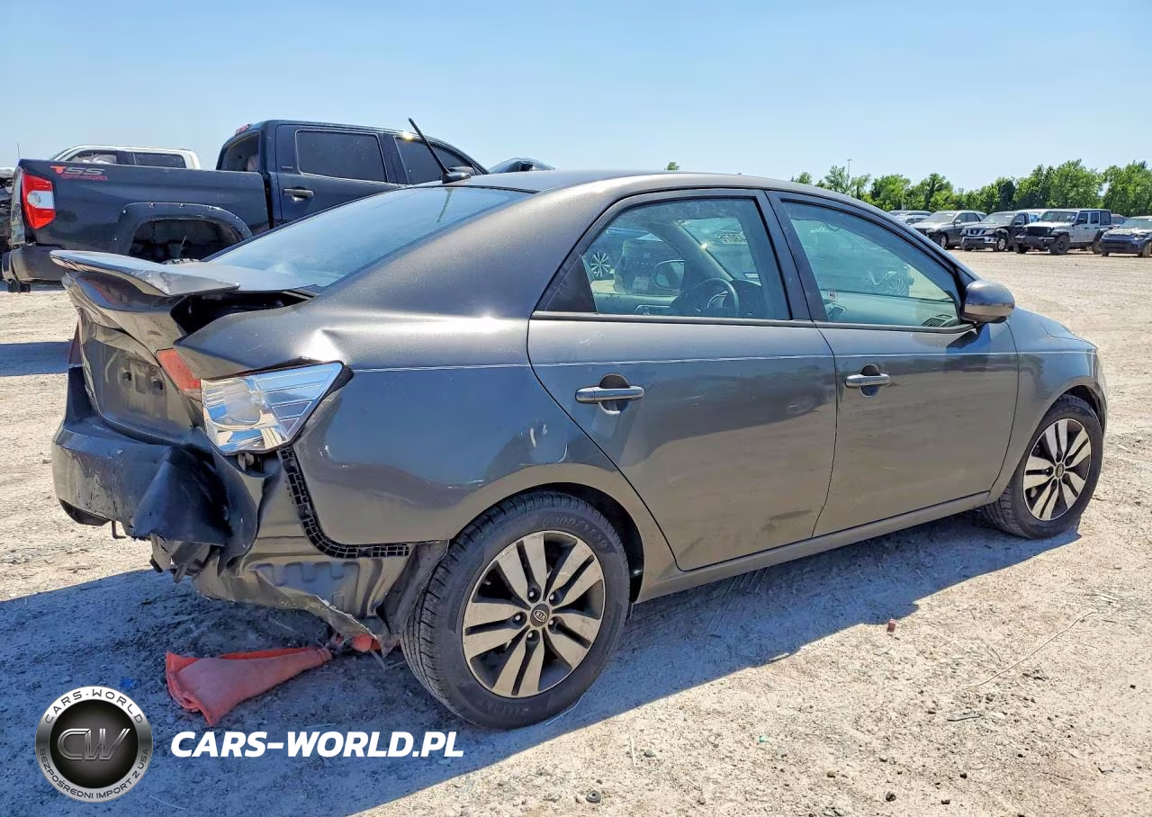 2013 Kia Forte VIN:KNAFU4A25D5698004 - 3