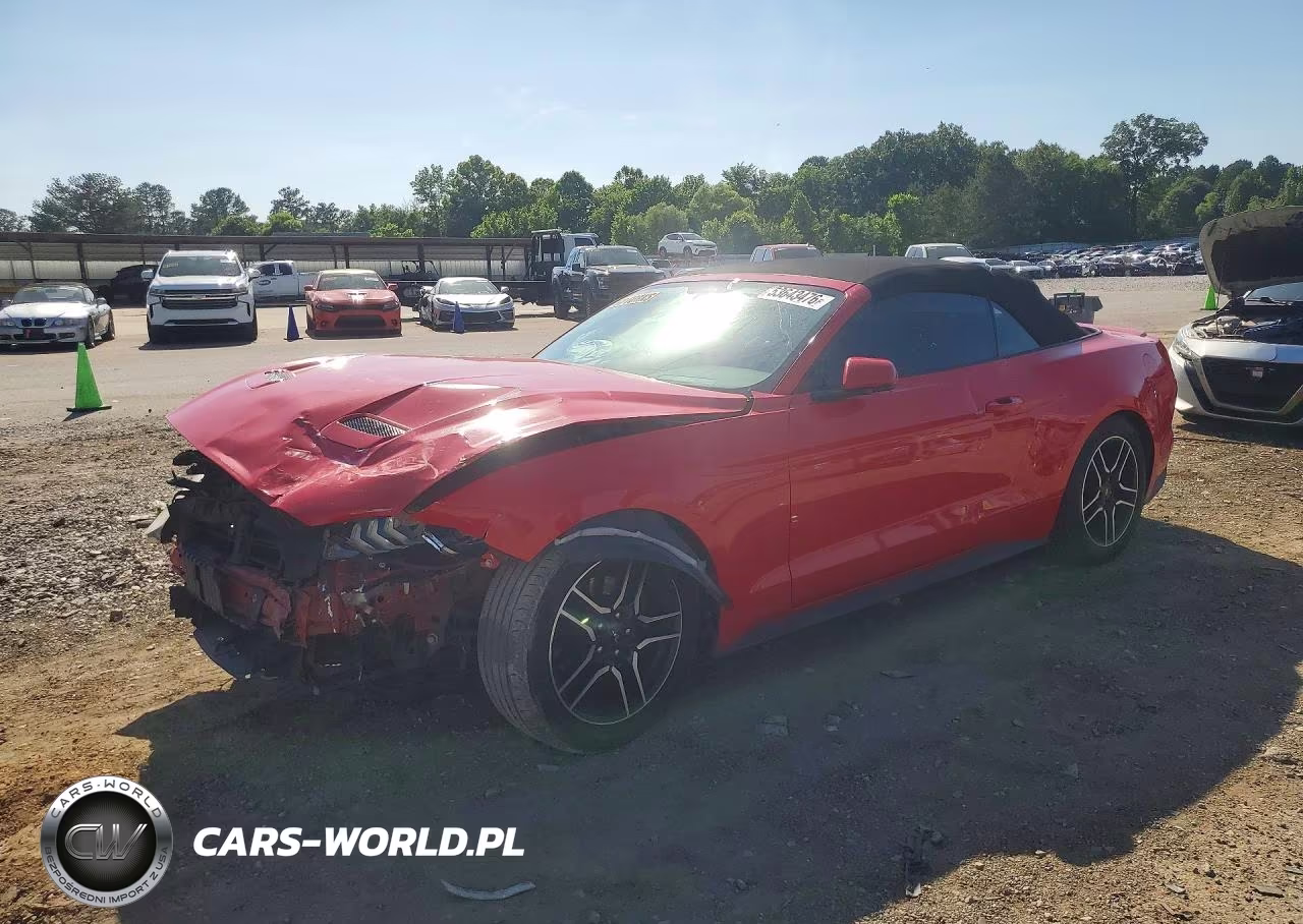 2019 Ford Mustang