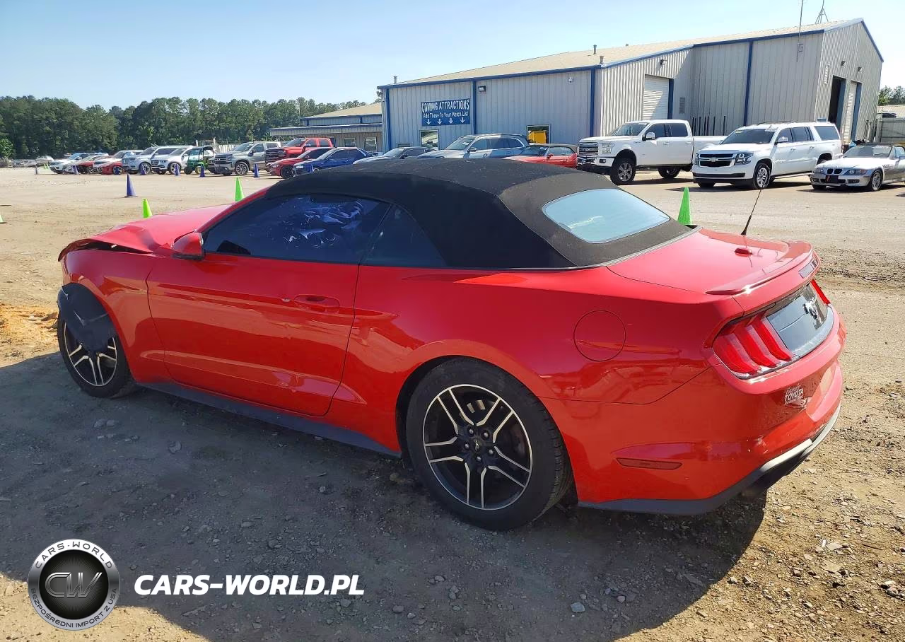 2019 Ford Mustang VIN:1FATP8UHXK5138650 - 2