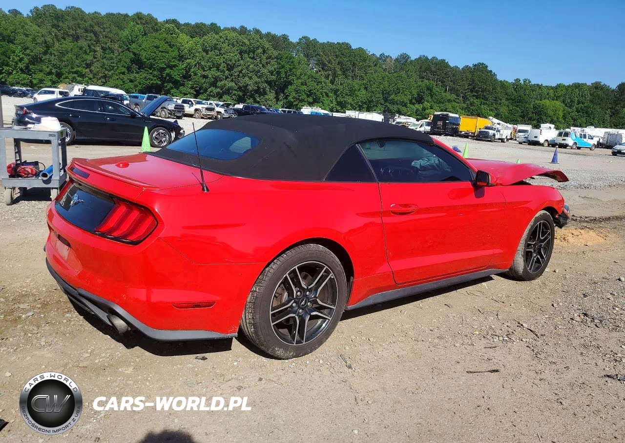 2019 Ford Mustang VIN:1FATP8UHXK5138650 - 3