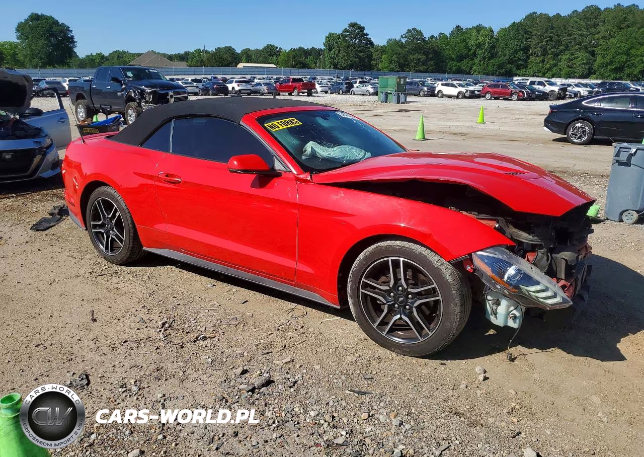 2019 Ford Mustang VIN:1FATP8UHXK5138650 - 4