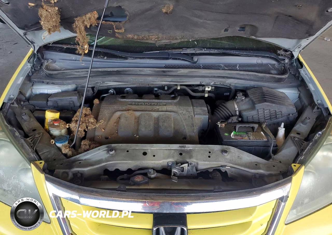 2008 Honda Odyssey Exl VIN:5FNRL387X8B045977 - 12