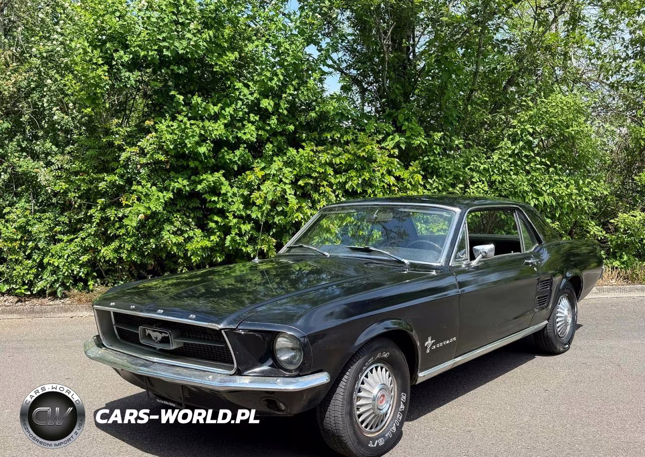 1967 Ford Mustang VIN:7R01T131464 - 2