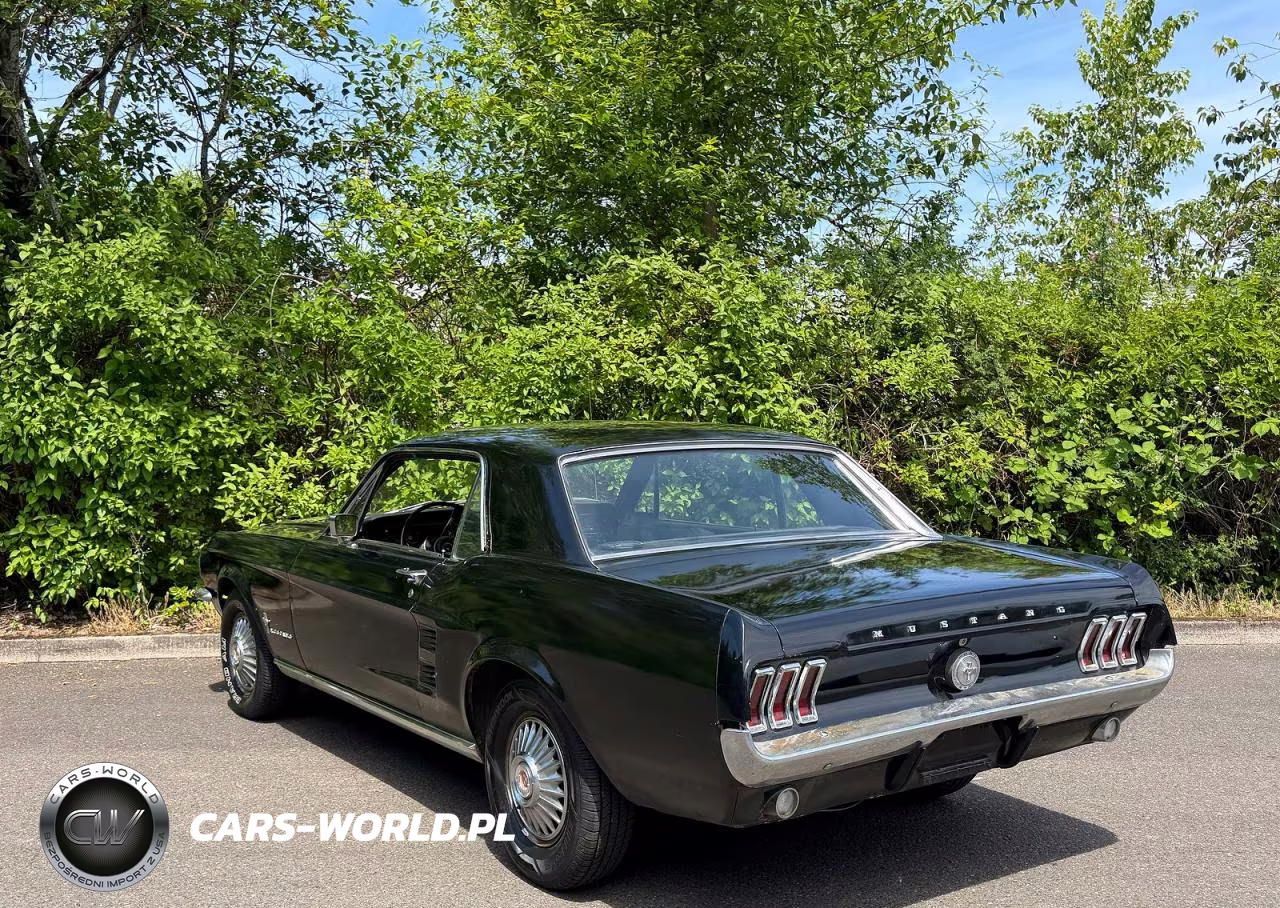 1967 Ford Mustang VIN:7R01T131464 - 3