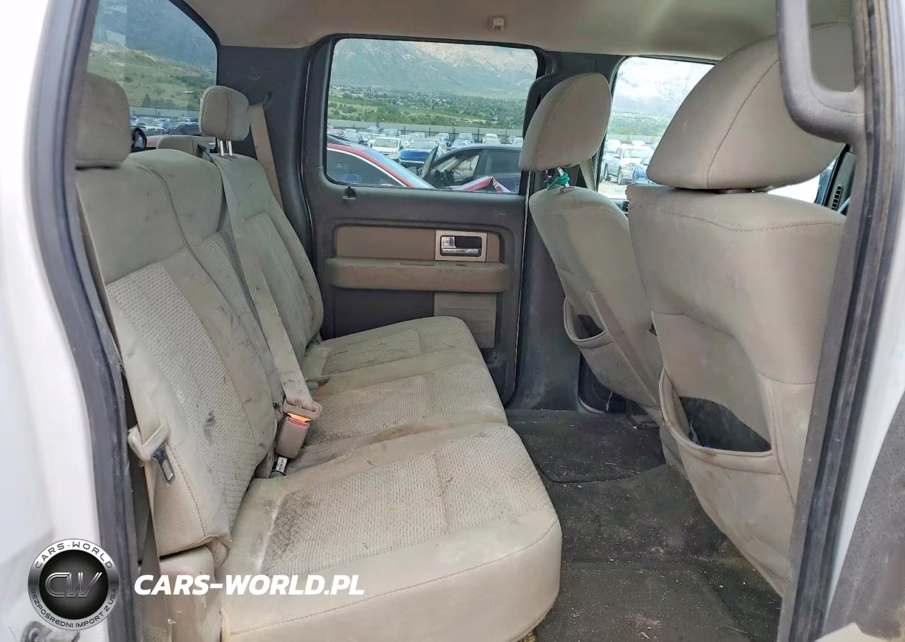 2009 Ford F150 Supercrew VIN:1FTPW14V19FA16596 - 10