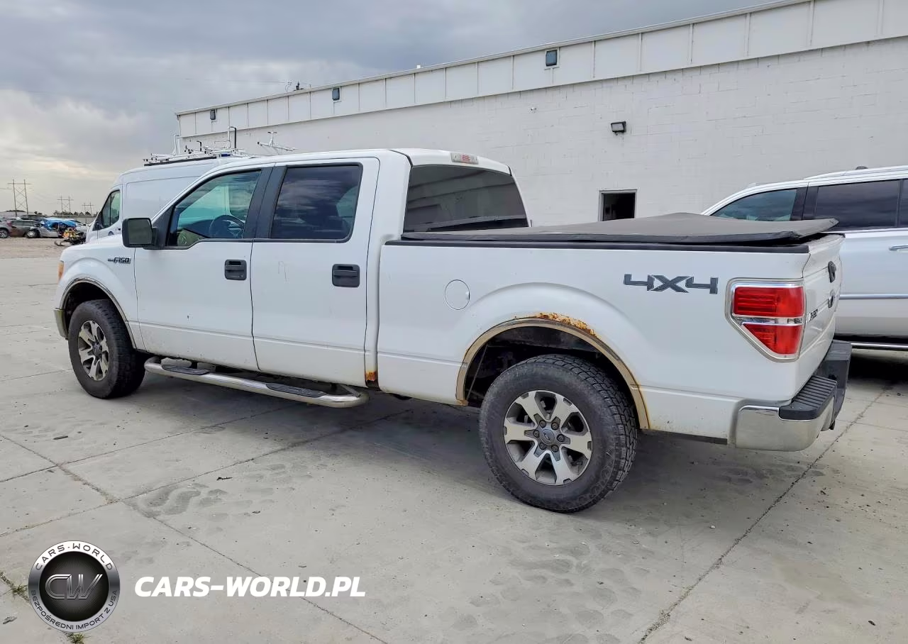 2009 Ford F150 Supercrew VIN:1FTPW14V19FA16596 - 2