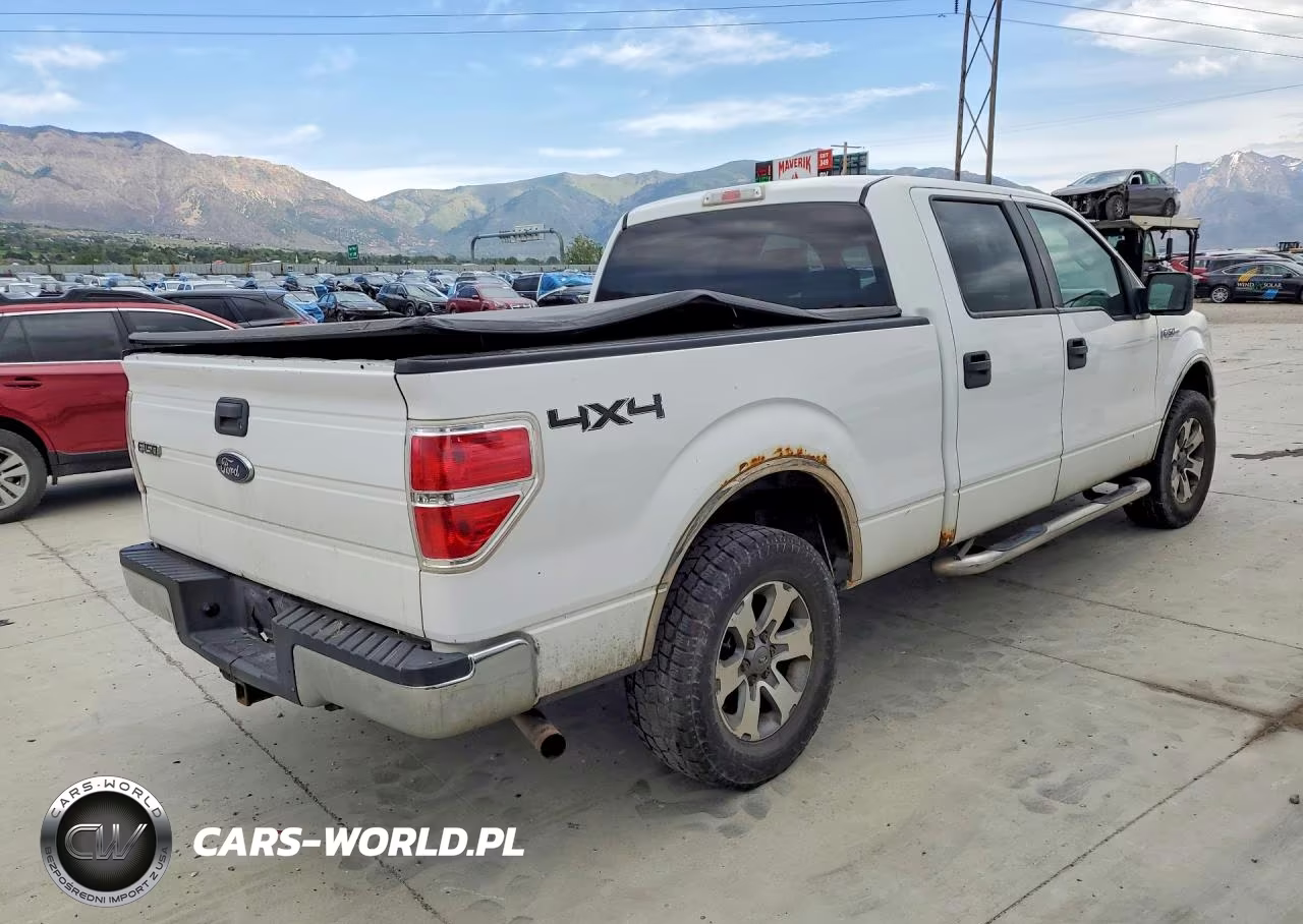 2009 Ford F150 Supercrew VIN:1FTPW14V19FA16596 - 3