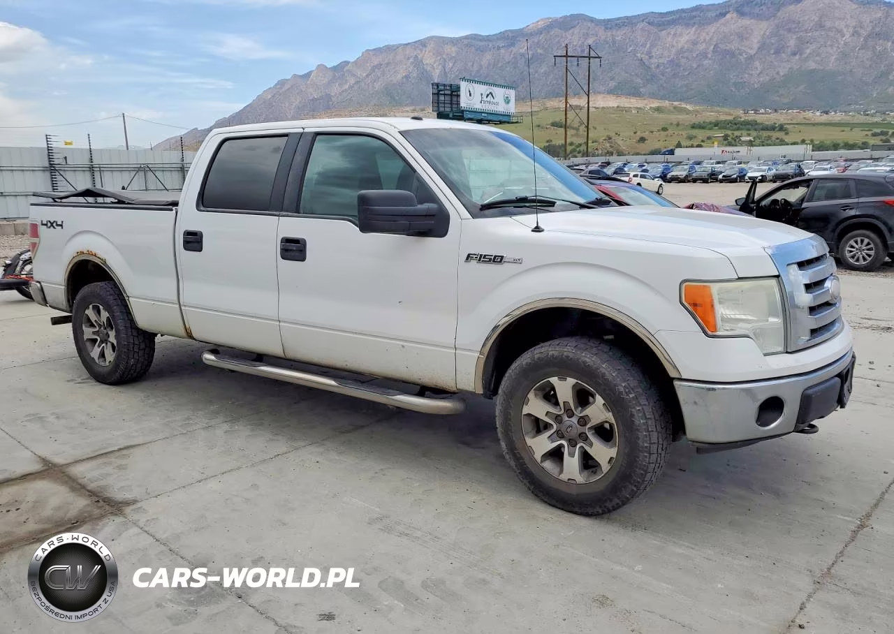 2009 Ford F150 Supercrew VIN:1FTPW14V19FA16596 - 4