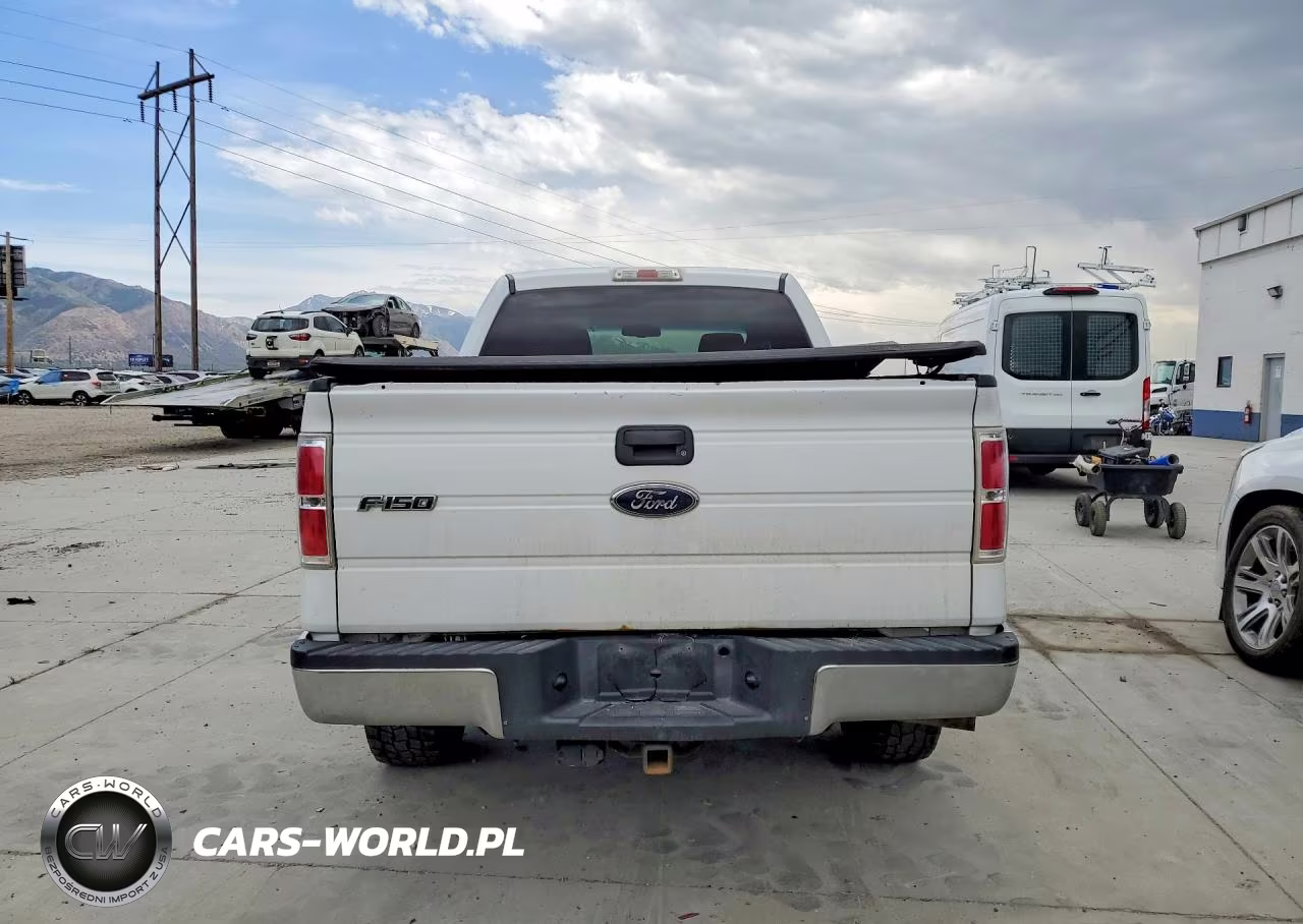 2009 Ford F150 Supercrew VIN:1FTPW14V19FA16596 - 6