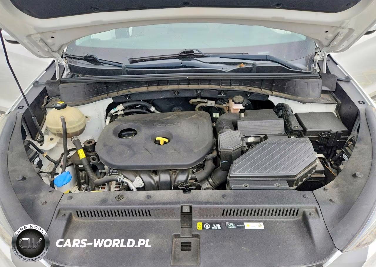 2019 Hyundai Tucson Se VIN:KM8J2CA46KU879481 - 12
