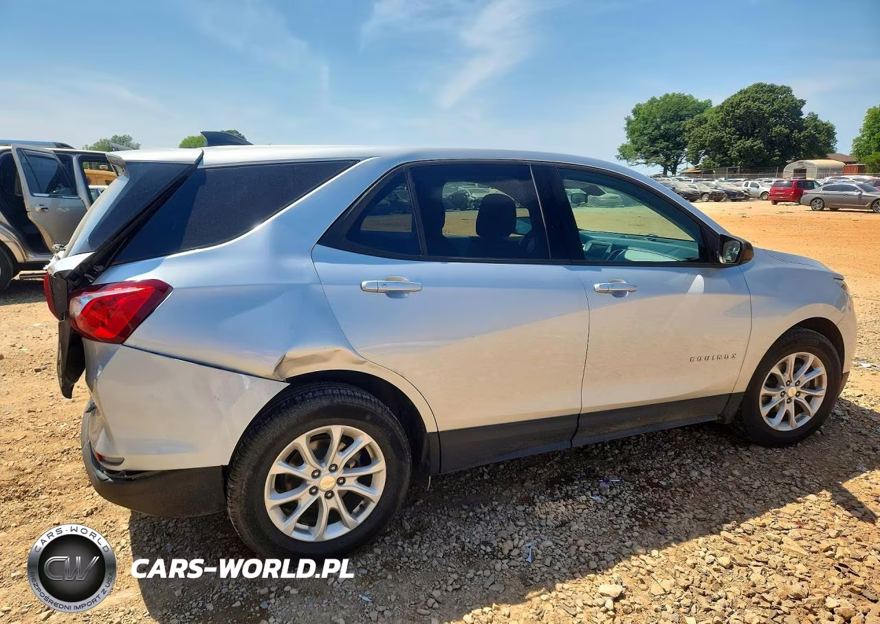 2019 Chevrolet Equinox Ls VIN:3GNAXHEV2KS541802 - 3