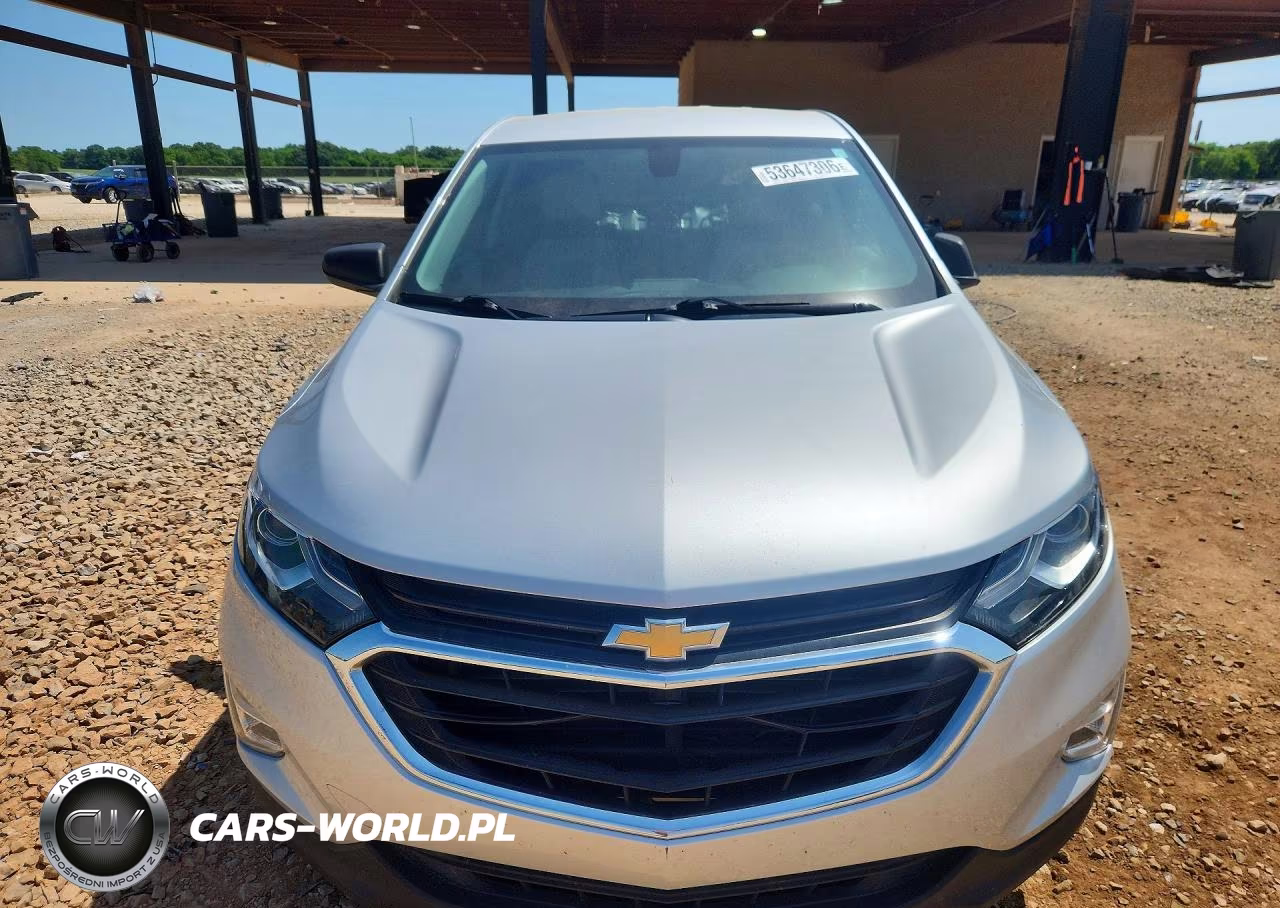 2019 Chevrolet Equinox Ls VIN:3GNAXHEV2KS541802 - 5