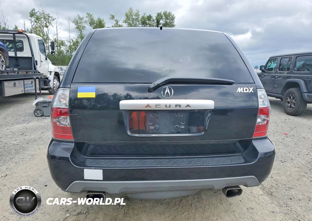 2006 Acura Mdx Touring VIN:2HNYD18806H542558 - 6
