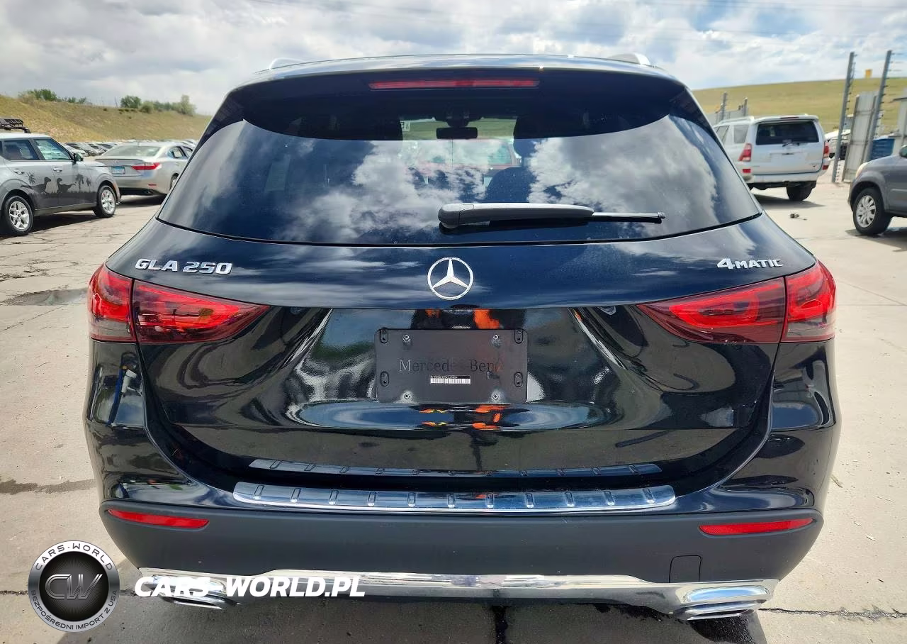 2021 Mercedes-Benz Gla 250 4Matic VIN:W1N4N4HB7MJ120824 - 6