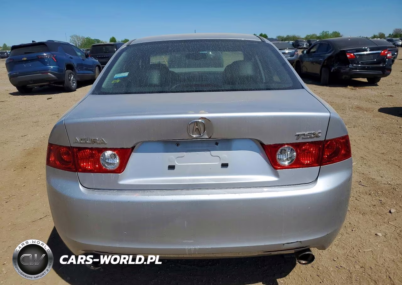 2004 Acura Tsx VIN:JH4CL95874C027397 - 6