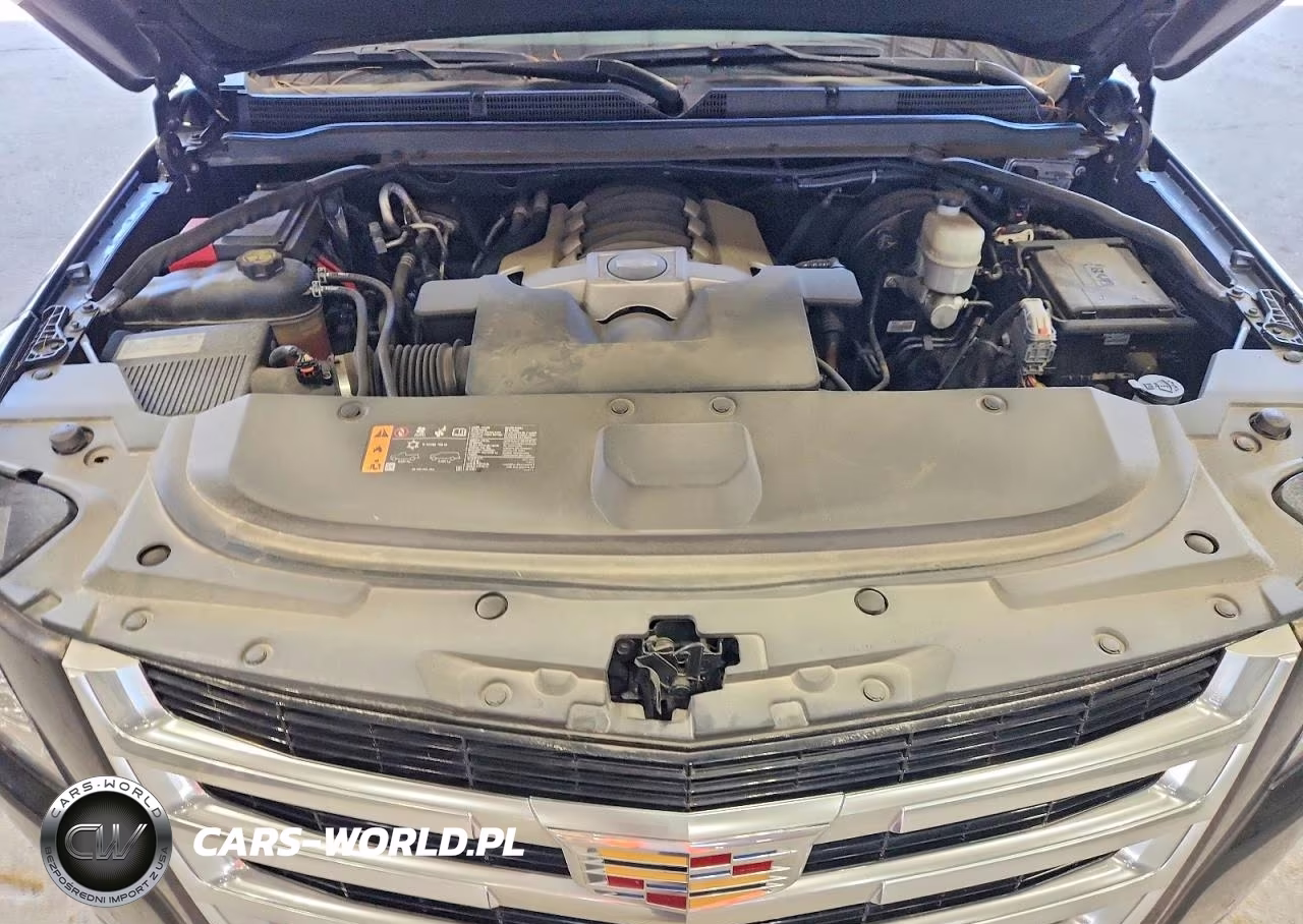 2020 Cadillac Escalade VIN:1GYS4CKJ5LR283820 - 12