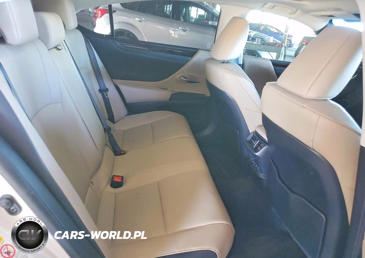 2019 Lexus Es 300H VIN:JTHB21B12K2012879 - 10