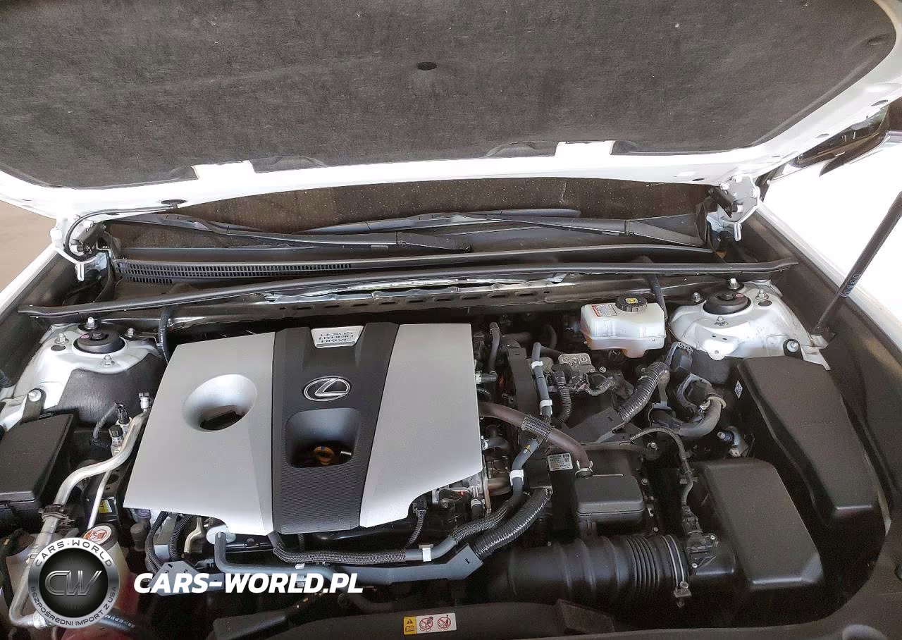 2019 Lexus Es 300H VIN:JTHB21B12K2012879 - 11