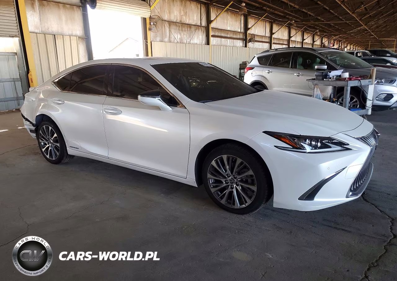 2019 Lexus Es 300H VIN:JTHB21B12K2012879 - 4