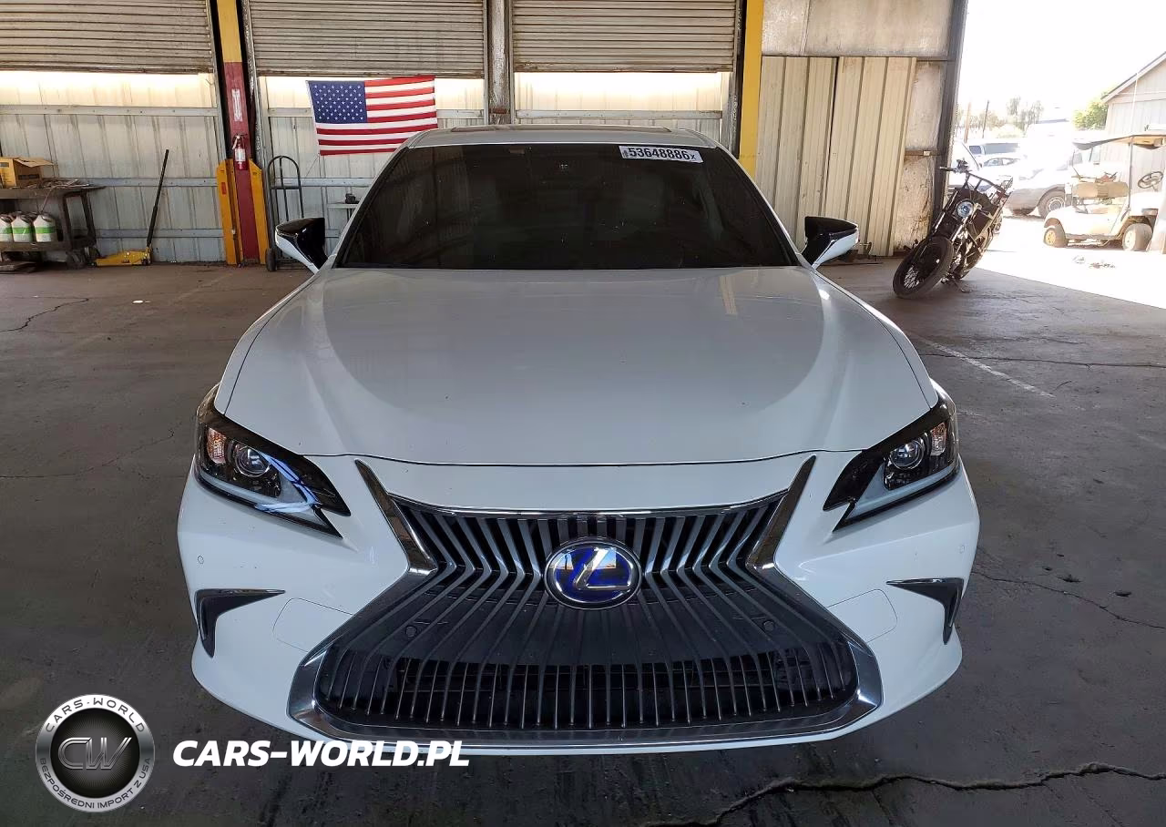 2019 Lexus Es 300H VIN:JTHB21B12K2012879 - 5