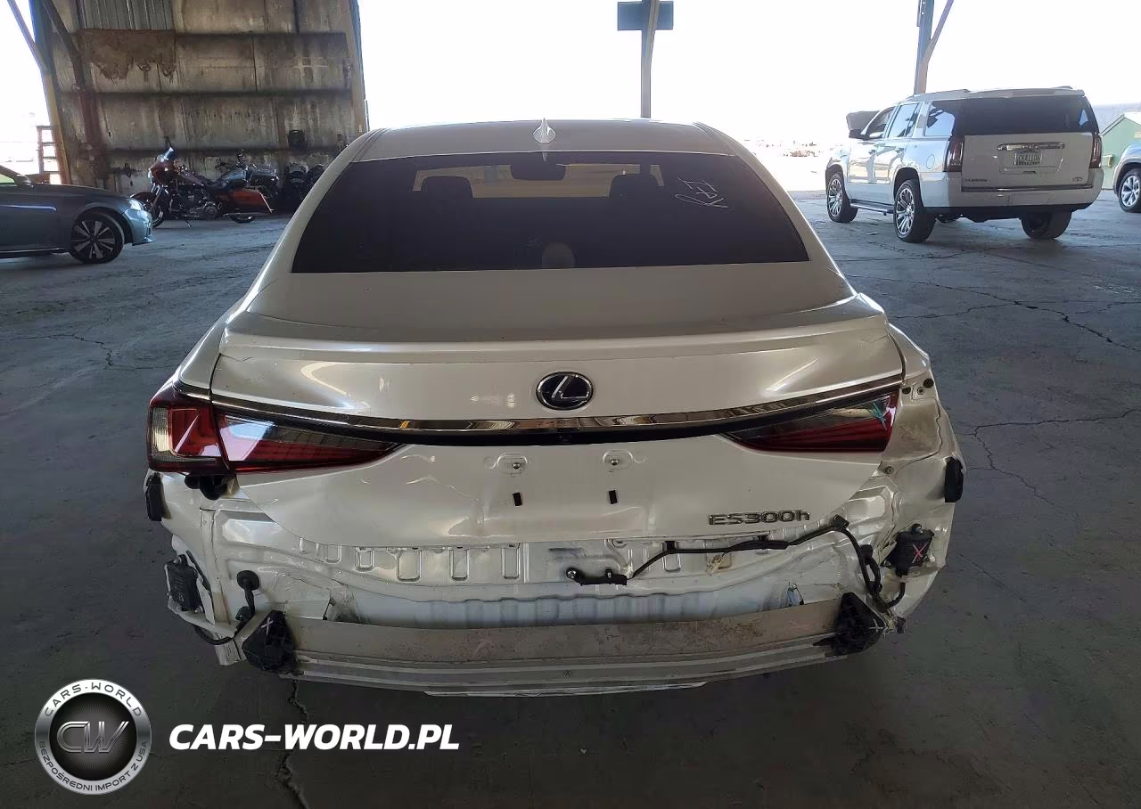 2019 Lexus Es 300H VIN:JTHB21B12K2012879 - 6