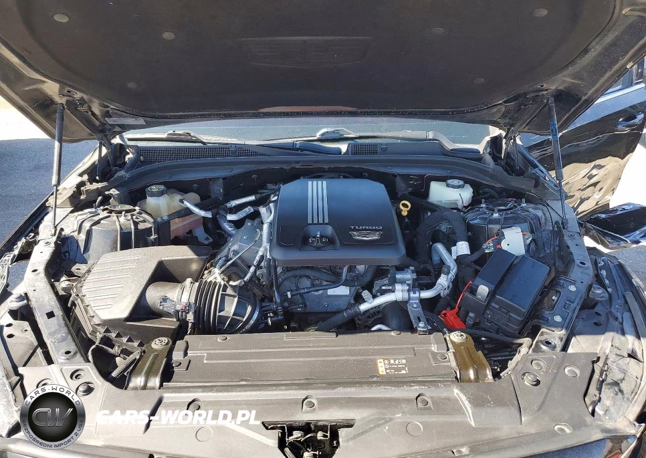 2020 Cadillac Ct5 Luxury VIN:1G6DM5RK4L0154211 - 11