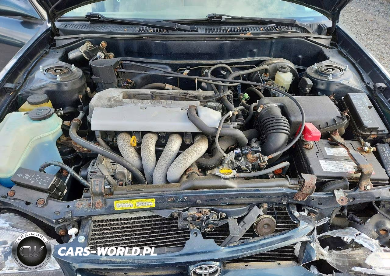 1999 Toyota Corolla Ve VIN:2T1BR12E8XC146661 - 11