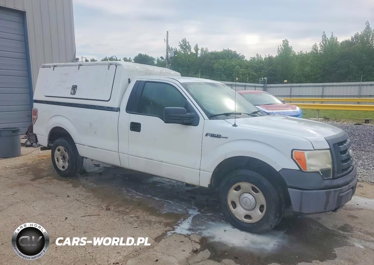 2009 Ford F150 VIN:1FTRF12W19KC55027 - 4