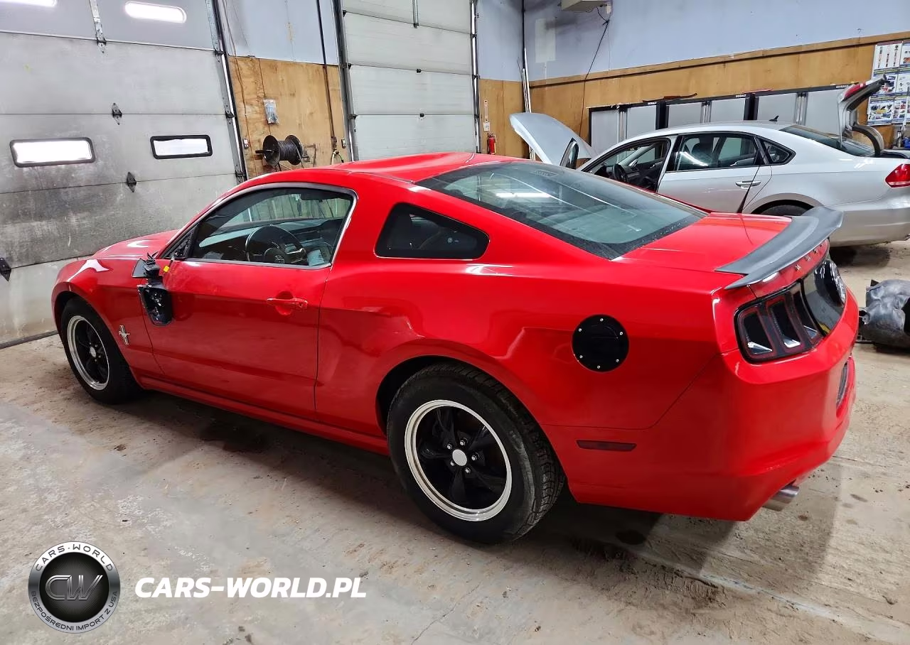 2014 Ford Mustang VIN:1ZVBP8AMXE5221293 - 2
