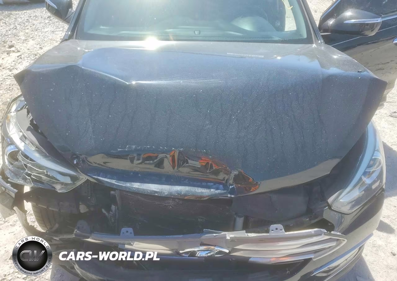 2017 Hyundai Santa Fe Sport 2.0T Ultimate VIN:5XYZW4LA6HG464384 - 12