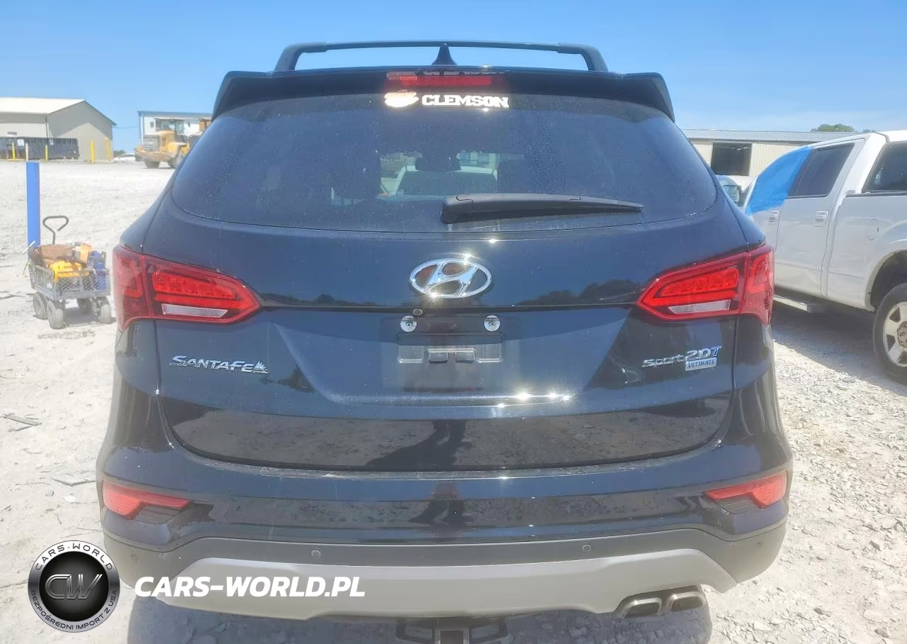 2017 Hyundai Santa Fe Sport 2.0T Ultimate VIN:5XYZW4LA6HG464384 - 6