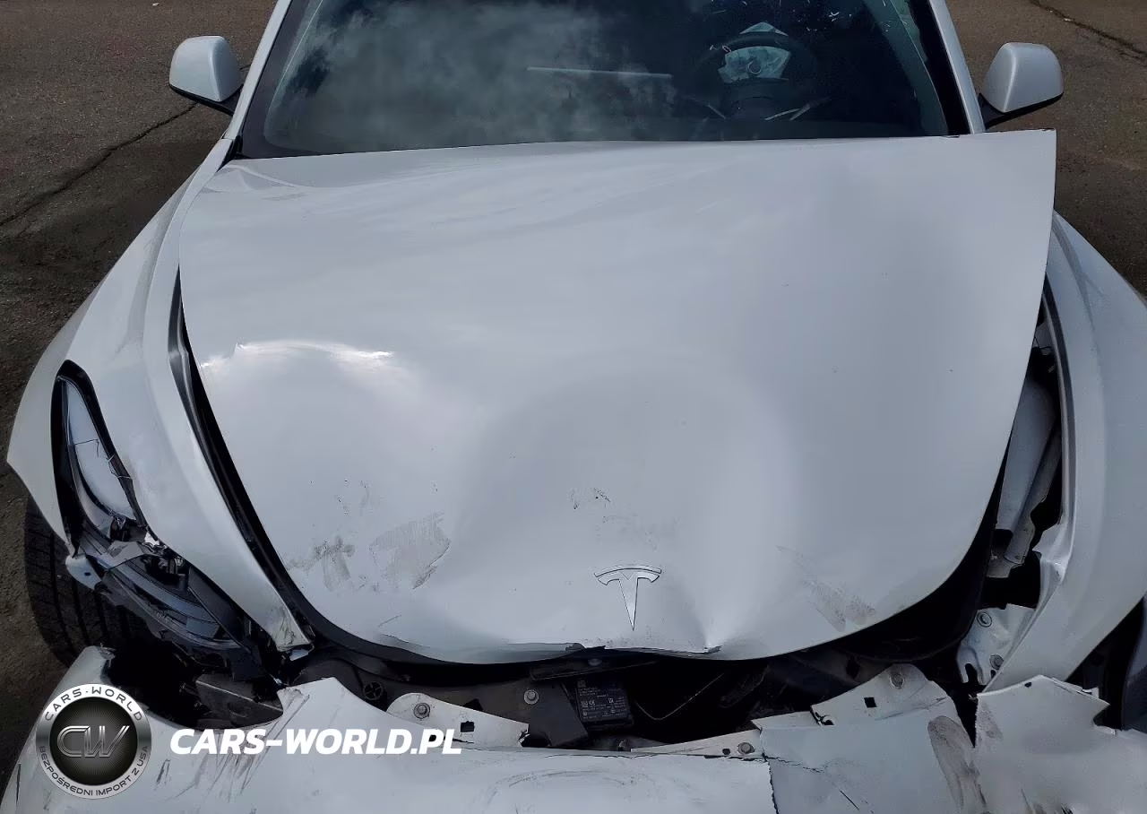 2021 Tesla Model 3 VIN:5YJ3E1ECXMF926484 - 11