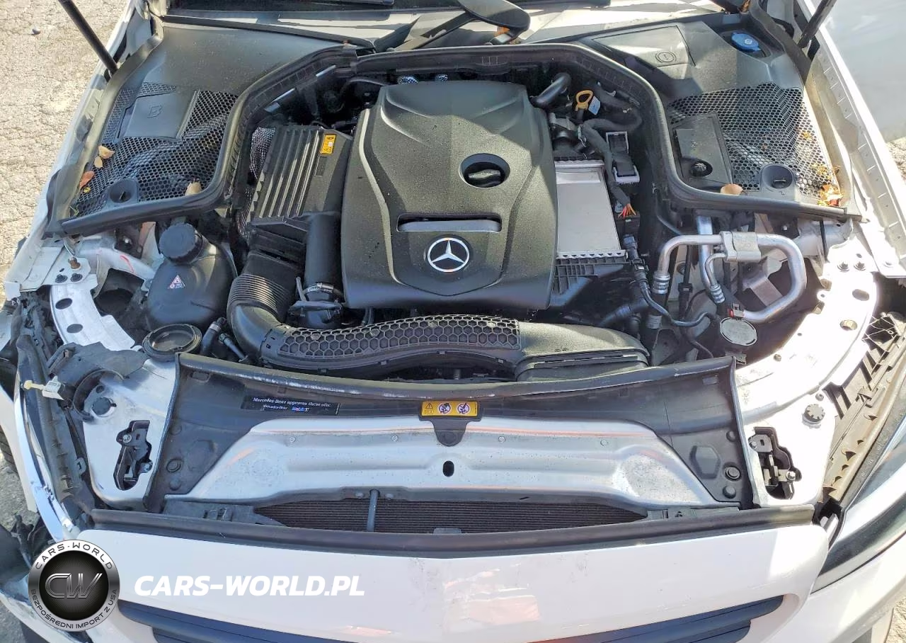 2018 Mercedes-Benz C 300 VIN:55SWF4JB4JU266669 - 11